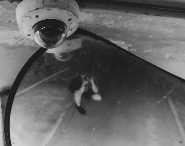 surveillance 6